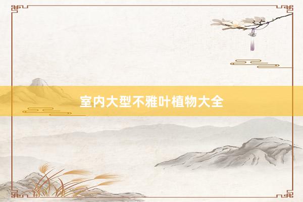 室内大型不雅叶植物大全