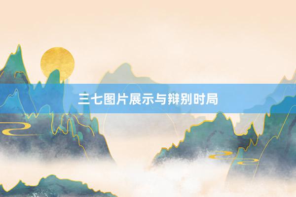 三七图片展示与辩别时局